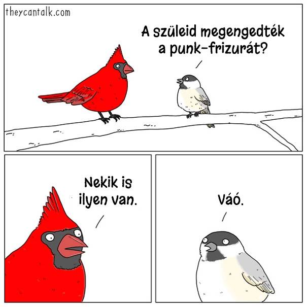 14 képregény, ami megmutatja, hogy milyen lenne a világ, ha a madarak beszélni tudnának