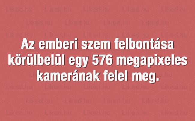 20+ érdekes tény a nagyvilágból, amit legvadabb álmainkban sem gondoltunk volna