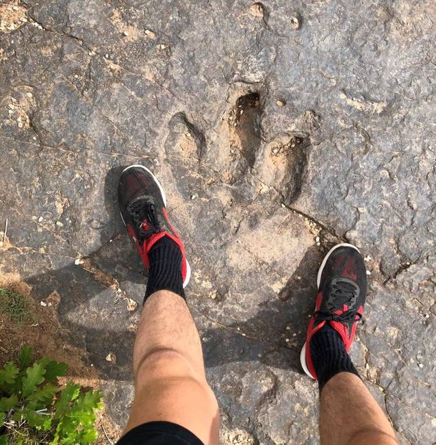 Megkövesedett dinoszaurusz-lábnyom: valamikor régen itt egy dínó haladt át.
