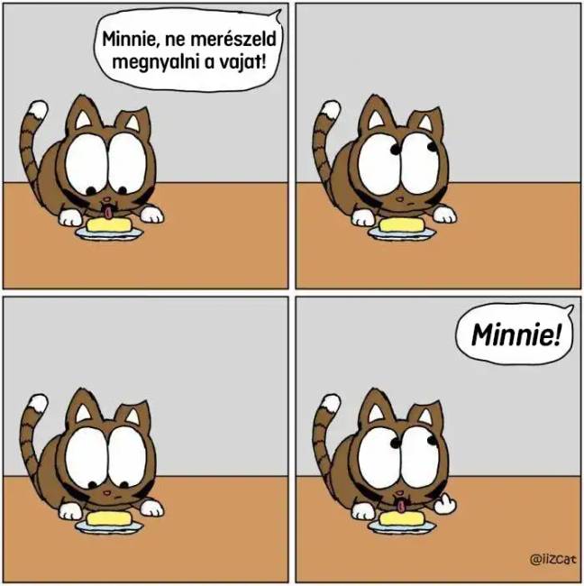 Macskás képregények 003