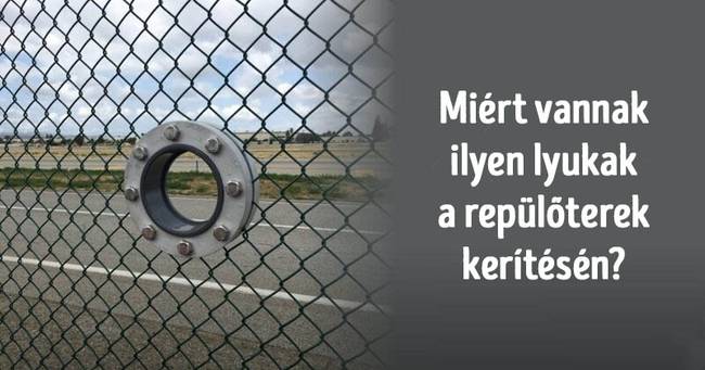 Intelligens kérdések