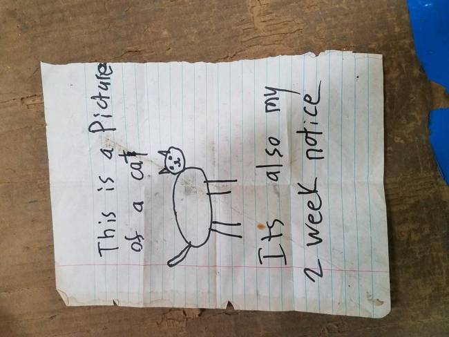 „Ez egy kép egy macskáról. Egyben a két hetes felmondás előtti értesítésem."