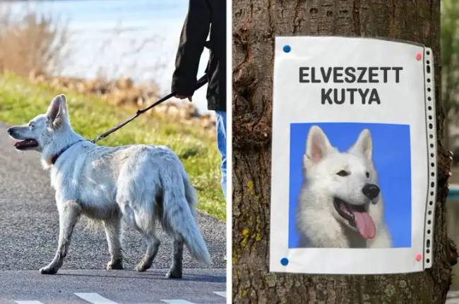 Betörők jelei 018