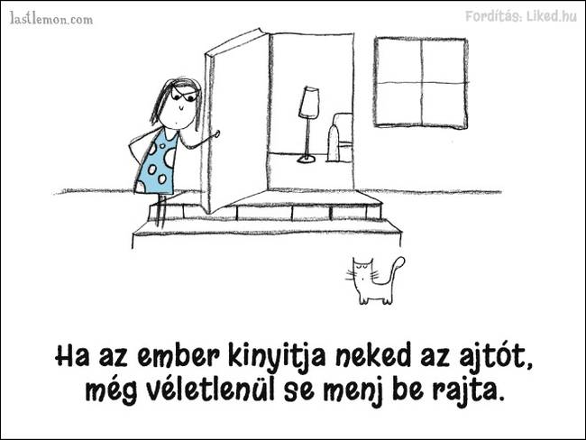 20 humoros illusztráció, ami megmutatja, hogyan kell jó macskának lenni