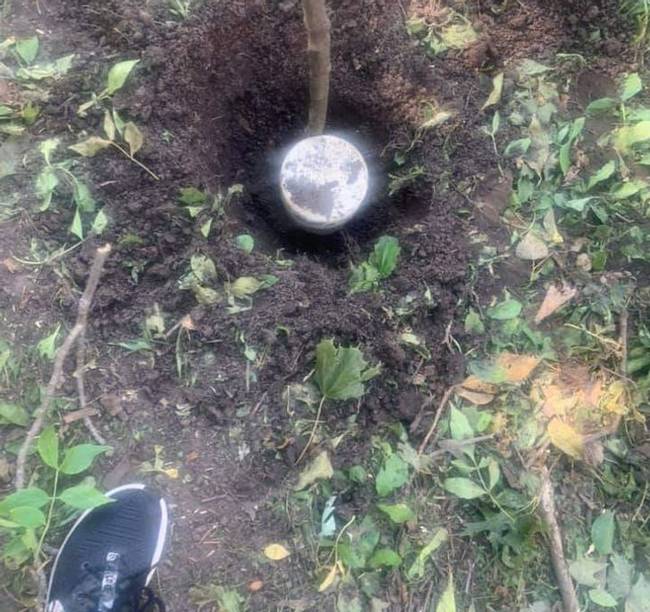Csak egy kis földdel megszórt lemez.