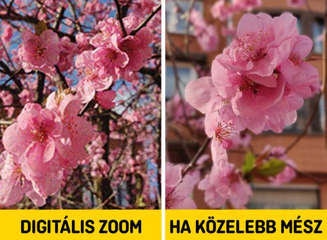 Kerüld a digitális zoom használatát.