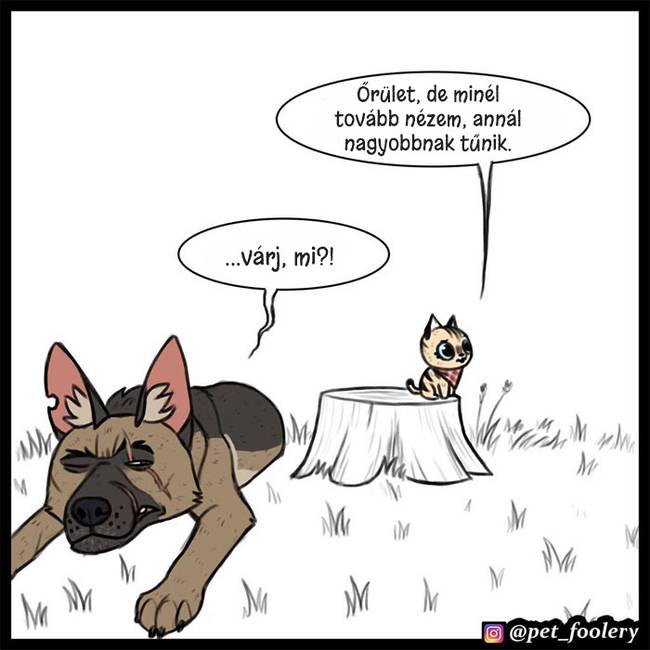 8 új ‘Pixie és Brutus’ képregény, ami segít bearanyozni a napod