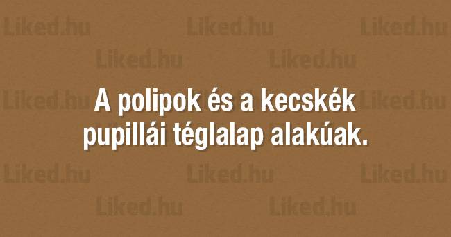 21 furcsa és szokatlan tény a világunkról, amitől garantáltan le fog esni az állad