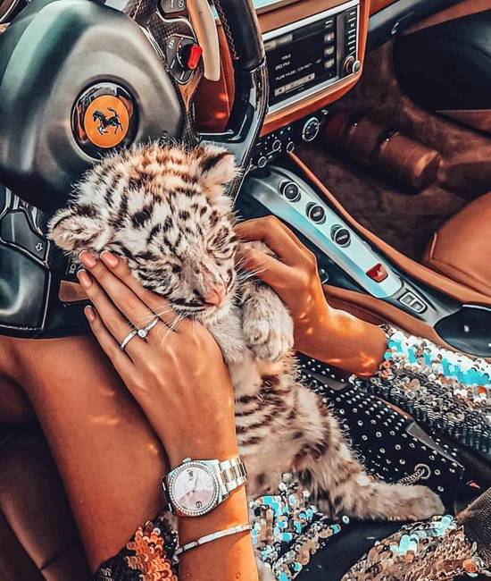 Egy Ferrari sem Ferrari, ha nincs egy tigriskölyök az ölünkben vezetés közben.