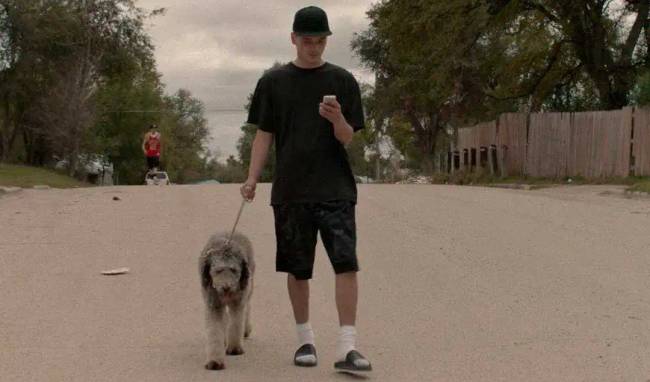 A kutyák saját Oscar-díja: a Palm Dog-díj nyertesei az elmúlt tíz évből