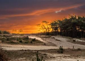 De Hoge Veluwe Nemzeti Park