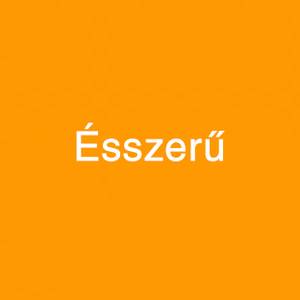 Helyesírás teszt