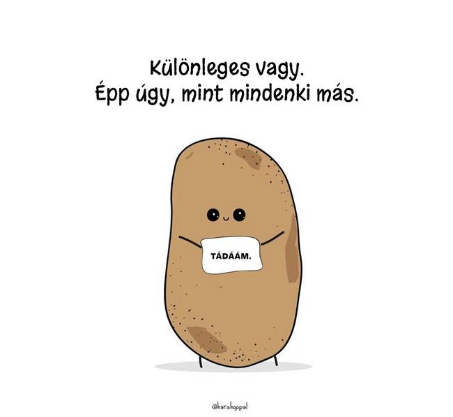 15 életre szóló igazság, egy aranyos és bölcs krumplitól