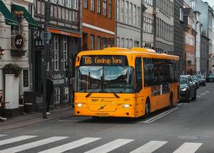 Busz