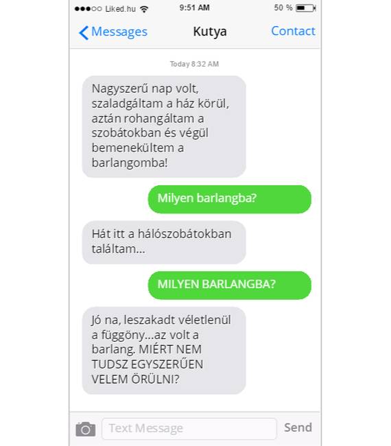 „Barlang"