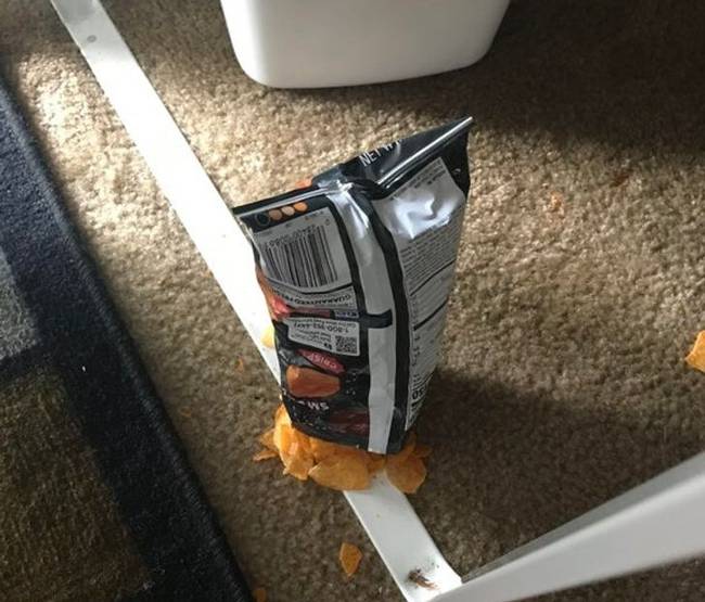 „Így esett le a chipsem a padlóra."