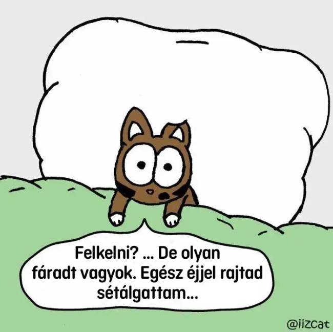 Macskás képregények 004