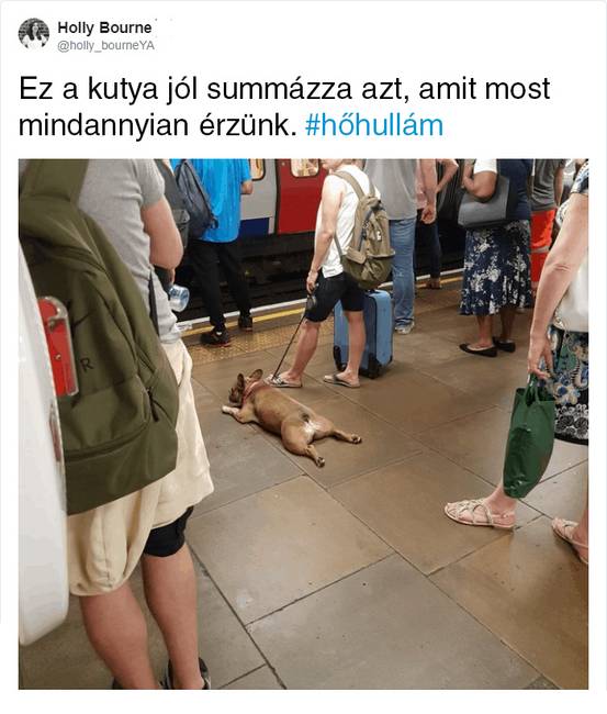 Az angol bulldog, mint szimbólum.