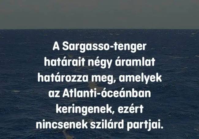 14 iskolai kérdés, ami még a legokosabb embereket is könnyedén összezavarja – de téged többé nem fog