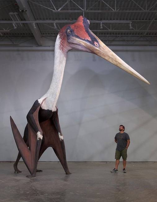 Ekkora volt a Quetzalcoatlus, a valaha élt legnagyobb repülő hüllő a Földön.