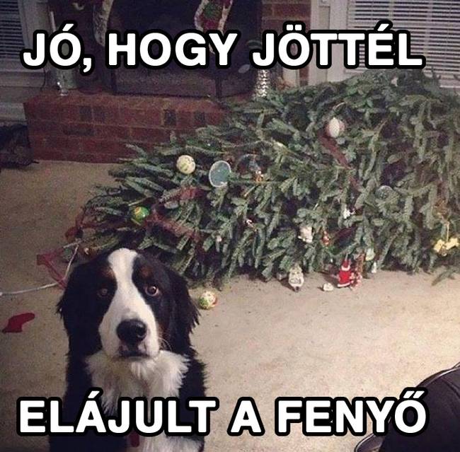 20 vicces karácsonyi mém, ami többet mond minden szónál