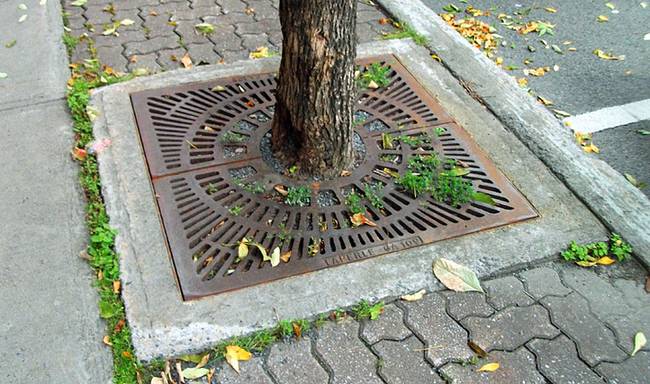 Fém rács, hogy a fa gyökerei a betondzsungel mélyén is kellő nedvességhez és levegőhöz jussanak.