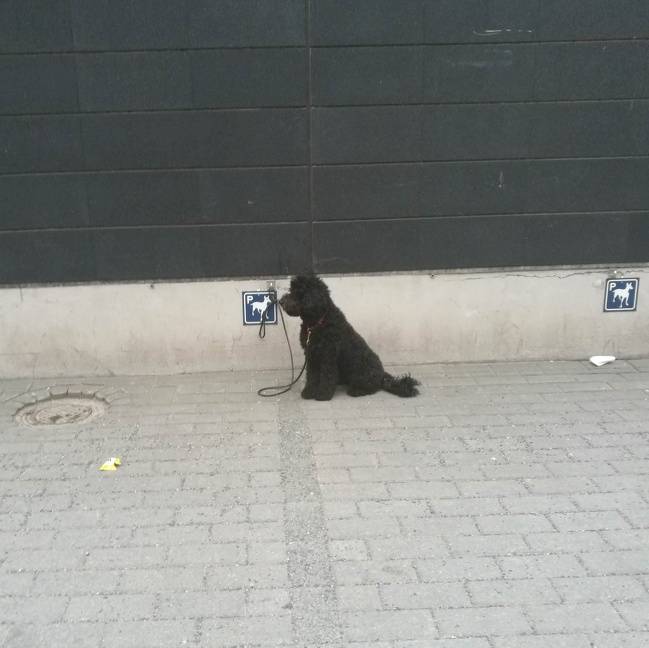 19 tervező, aki egyszerűen nem tud hibázni munka közben