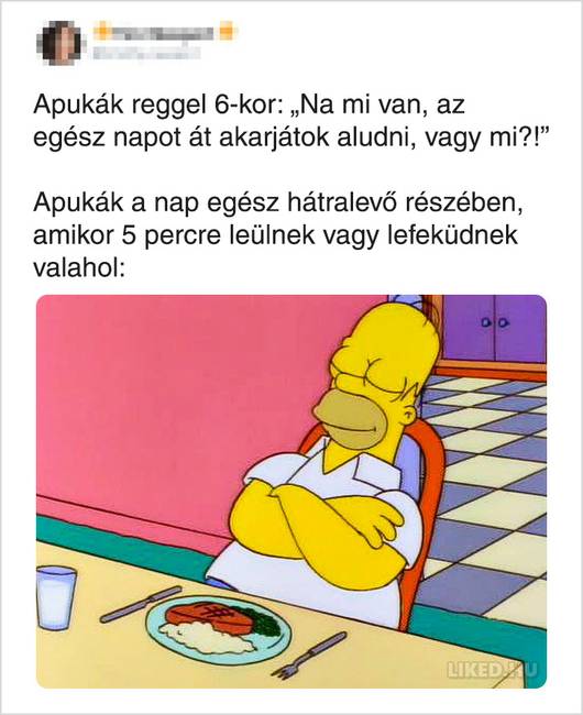Végezetül egy kép, amiben minden benne van, amit az apukákról tudni kell.