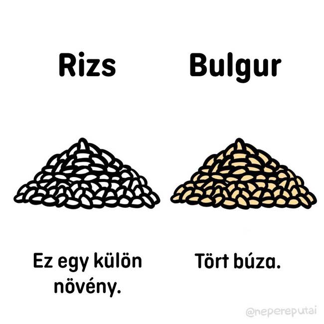 Rizs es bulgur