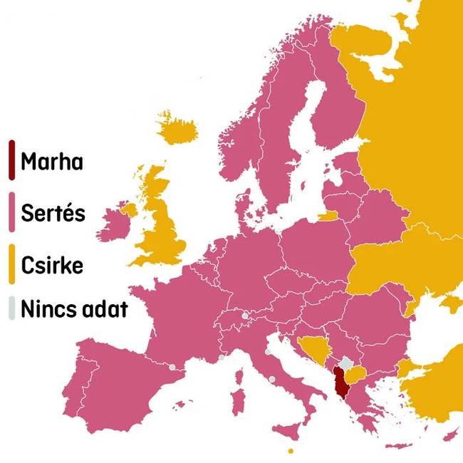 Marha sertes csirke