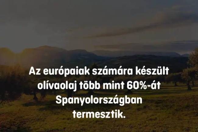 14 iskolai kérdés, ami még a legokosabb embereket is könnyedén összezavarja – de téged többé nem fog