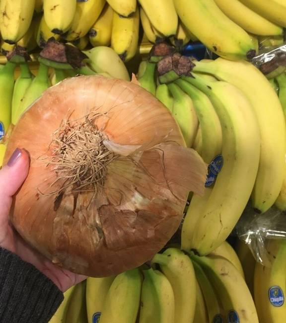 „Ezt az óriás hagymát ma találtam vásárlás közben."