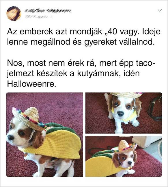 Taco jelmez