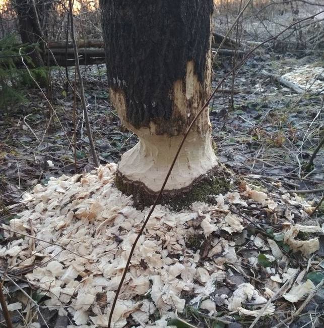 21 tanulságos fotó, aminek az iskolai tankönyvekben is szerepelni kellene
