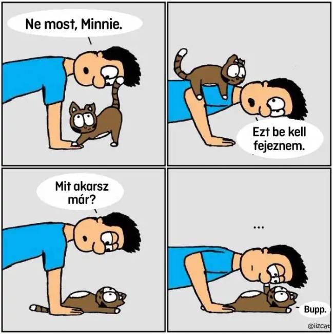 Macskás képregények 008