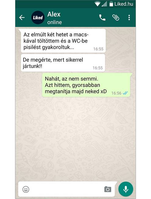 13 beszélgetés, ami bizonyítja, hogy szarkazmus nélkül üres lenne az életünk