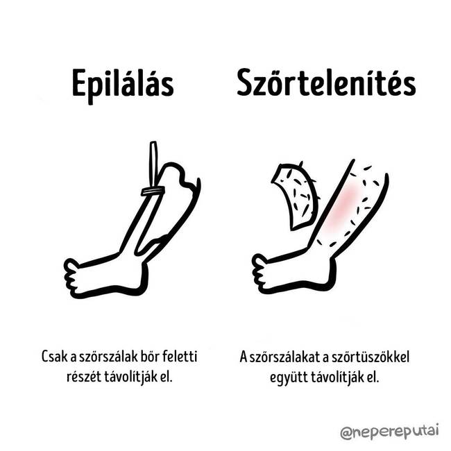 Epilalas es szortelenites