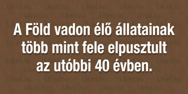 20 hihetetlennek tűnő tény és statisztika, amit még álmainkban sem gondoltunk volna