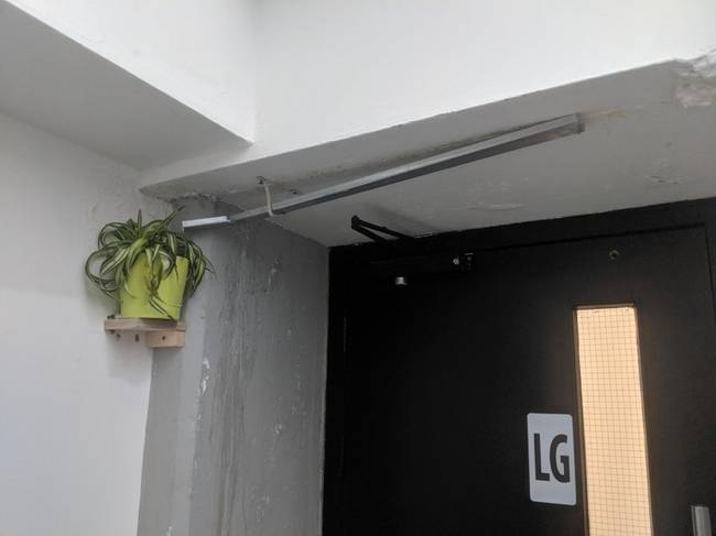 „Az irodánkban beázik a mennyezet, de ahelyett, hogy valaki megcsinálta volna, inkább automata virágöntözővé változtatta."