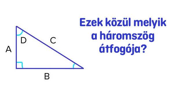‎