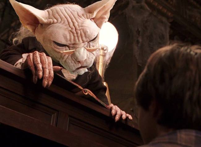 Harry Potter reszkethet.