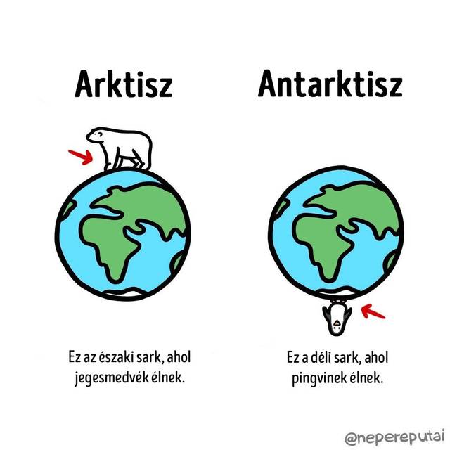 Arktisz es antarktisz