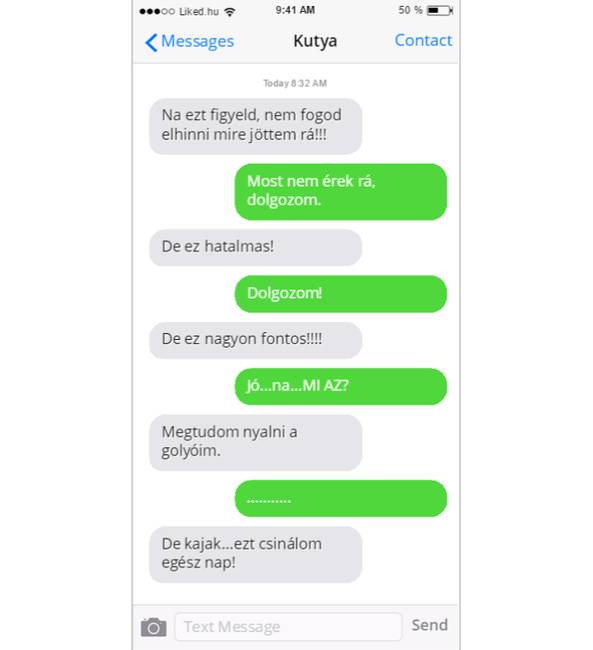 A felfedező.