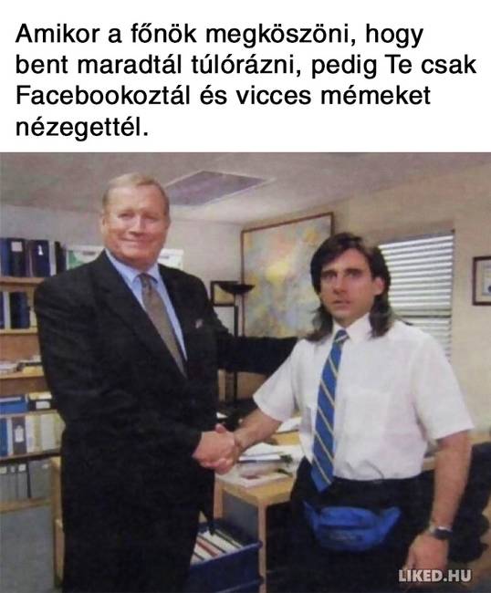 20 vicces mém a főnökökről, amit jobb, ha nem a munkahelyeden nézel meg