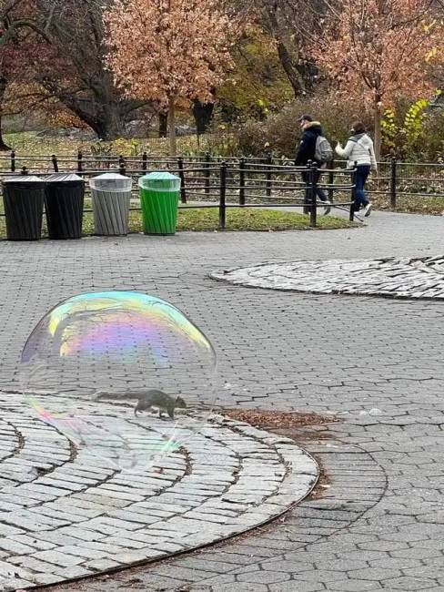 Zavaró perspektívájú fotók 006