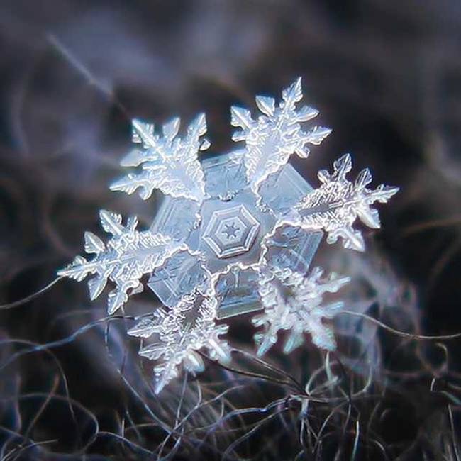 A nagyítás alatt lévő hópehely megmutatja, mennyire szereti a természet a geometriát.