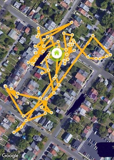 Miután a macska kleptomániája elfajult, a gazdái egy GPS-eszközt is szereltek az állatra, hogy nyomon követhessék, merre jár.