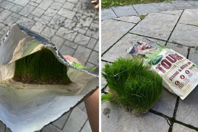Időre elfelejtett dolgok 010