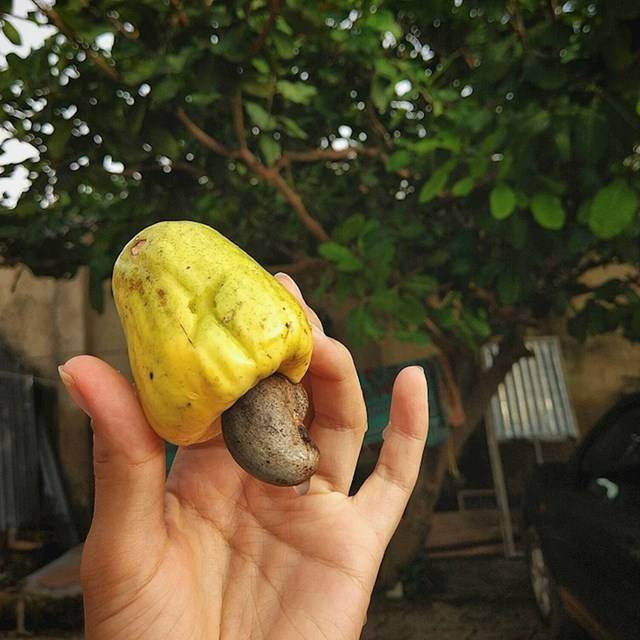 Nigéria édesség helyett