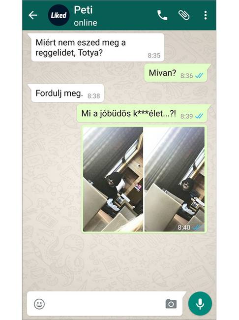 11 üzenet, ami bizonyítja, hogy az élet tele van meglepetésekkel